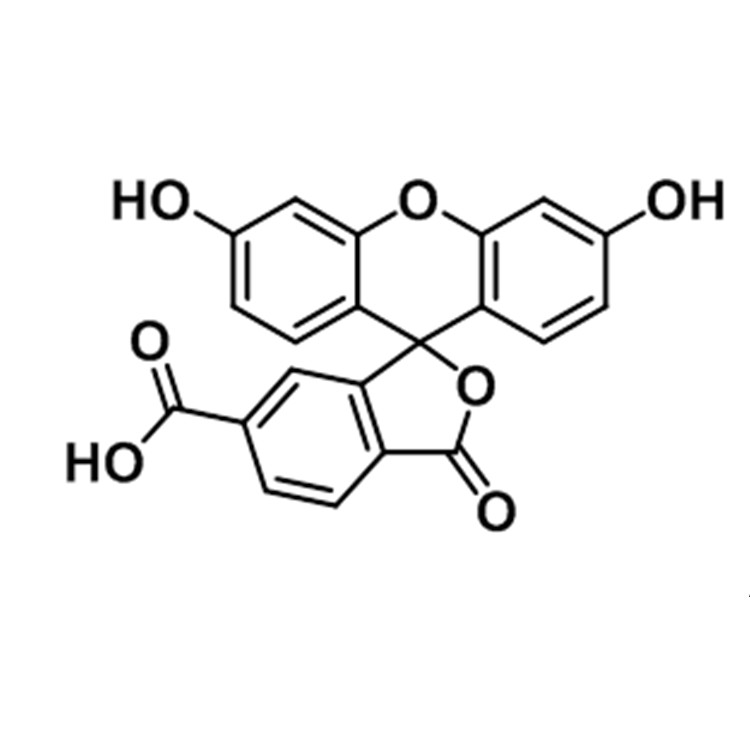 6-羧基荧光素,6-Carboxyfluorescein;6-FAM