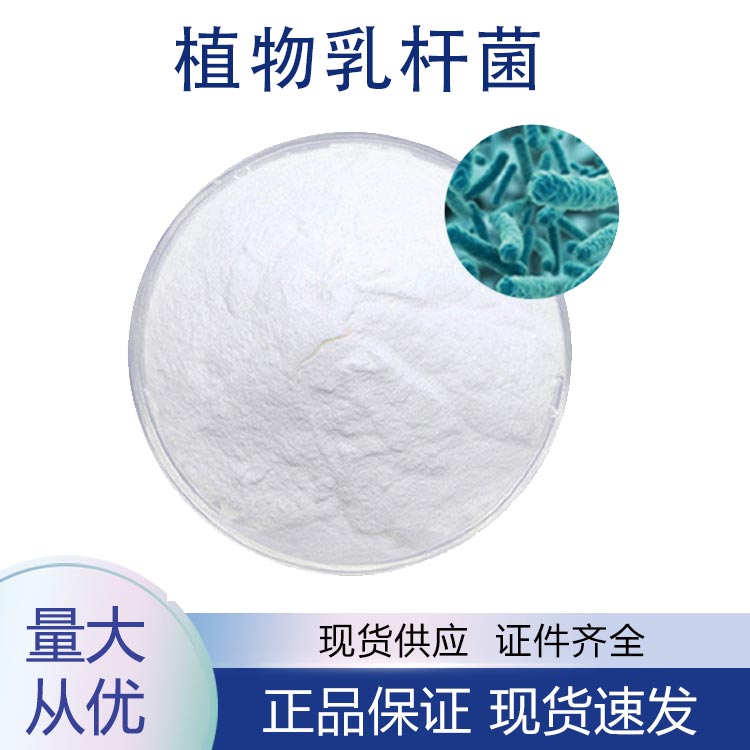 植物乳植杆菌;植物乳杆菌,Lactobacillus plantarum Lactiplantibacillus plantarum