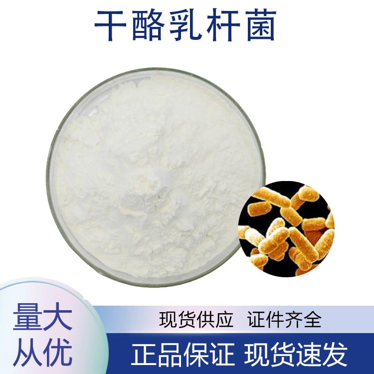 干酪乳酪杆菌;干酪乳杆菌,Lacticaseibacillus casei