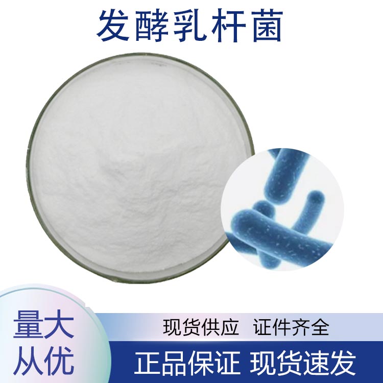 发酵粘液乳杆菌;发酵乳杆菌,Lactobacillus fermented mucus Lactobacillus fermented