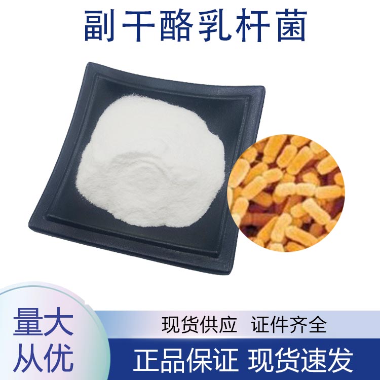 副干酪乳酪杆菌;副干酪乳杆菌,Lactobacillus paracaseiLactobacillus