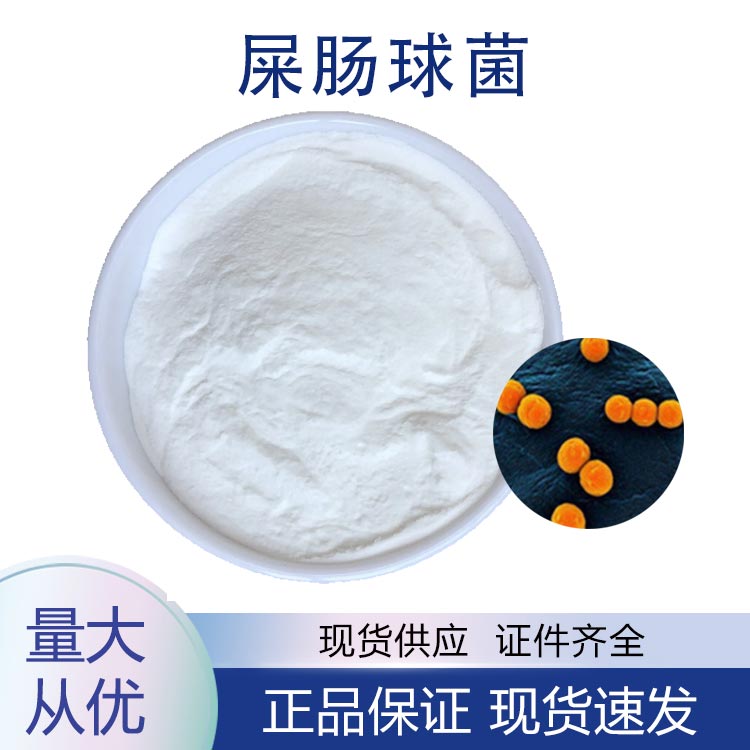 屎腸球菌,Enterococcus faecium