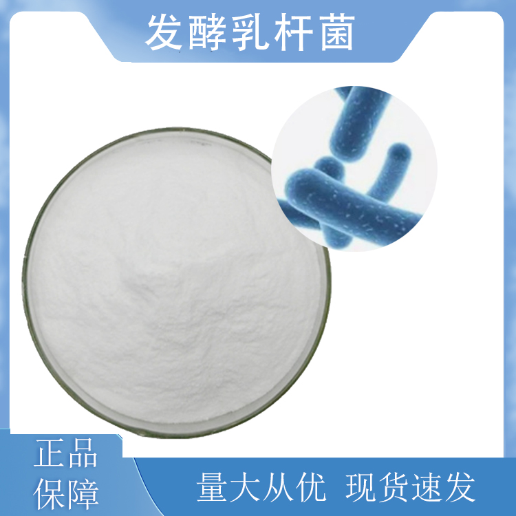 發(fā)酵粘液乳桿菌；發(fā)酵乳桿菌,Lactobacillus fermentum