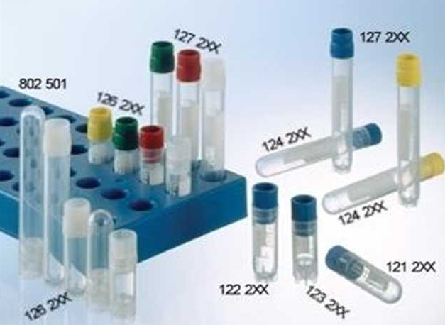 胞環(huán)蛋白肌動蛋白結合蛋白,Anillin Protein