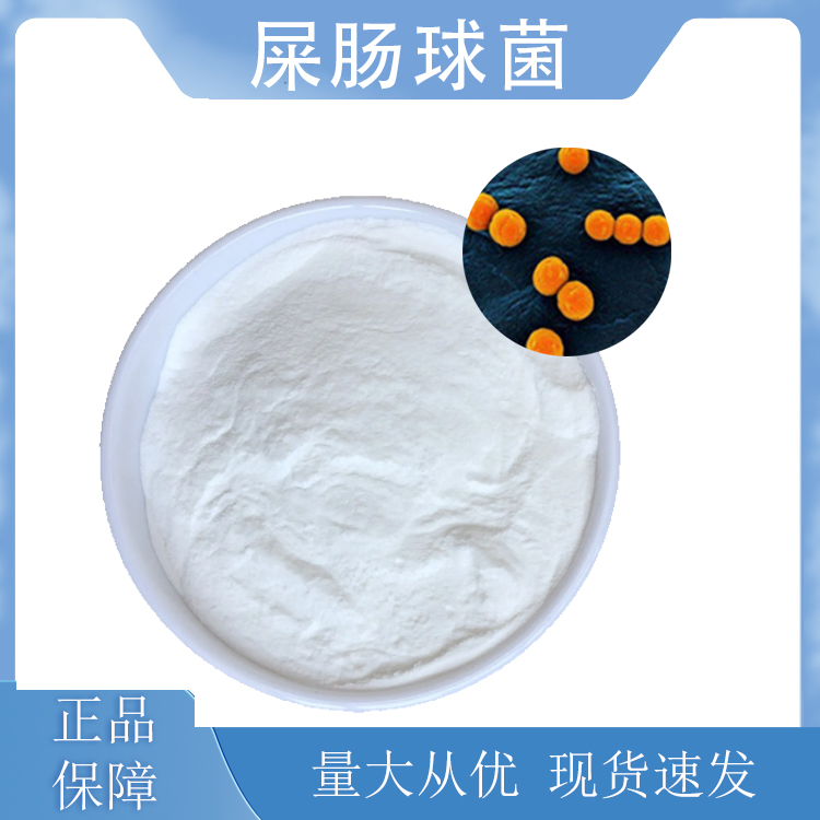 屎肠球菌,Enterococcus faecium