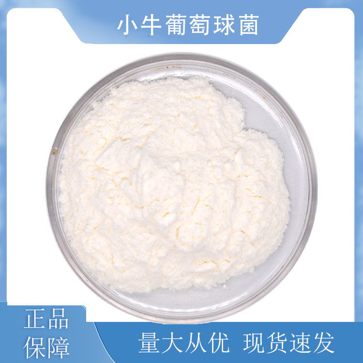 小牛葡萄球菌,Staphylococcus vitulinus