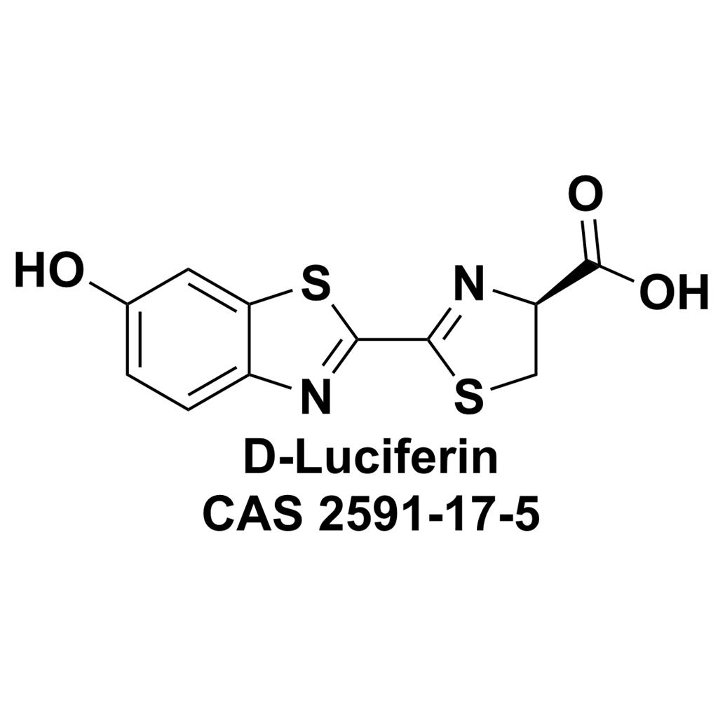 D-荧光素,D-Luciferin