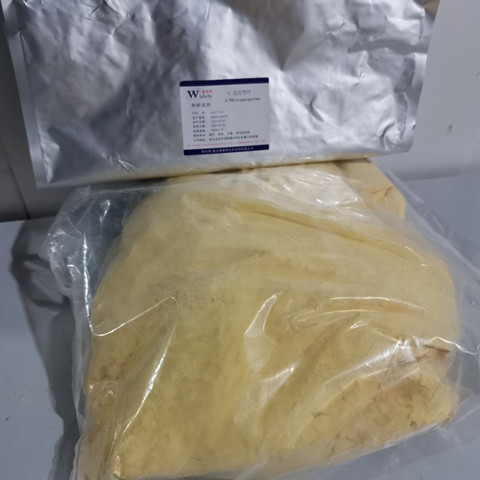 6-巯基嘌呤；巯嘌呤,6-Mercaptopurine