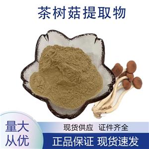 茶树菇提取物,Agrocybe chaxingu Extract
