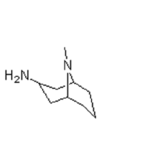 内向-3-氨基-9-甲基-9-氮杂双环[3,3,1]壬烷 