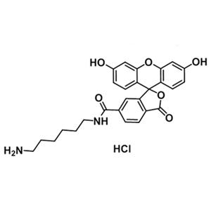 2183440-42-6，6-FAM-NH2，6-羧基荧光素-氨基