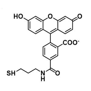 5-FAM-C3-SH，5-羧基荧光素-C3-巯基