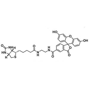 生物素-4-荧光素,Biotin-4-Fluorescein;FITC-4-Biotin