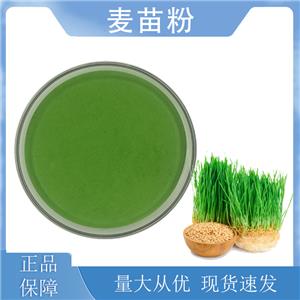 麦苗粉,Barley seedling powder