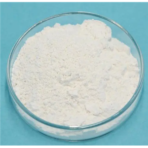 帕罗西汀盐酸盐,Paroxetine Hydrochloride