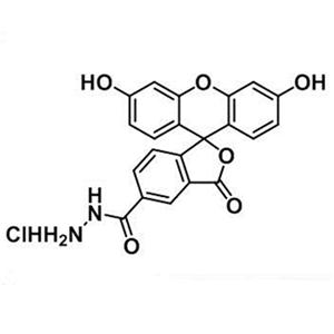2183440-64-2，5-FAM hydrazide HCl，5-羧基荧光素-酰肼盐酸盐