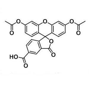 79955-27-4，5-diacetate FAM，5-羧基荧光素二乙酸酯