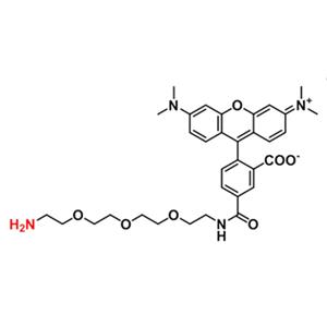 5-四甲基罗丹明-三聚乙二醇-氨基,5-TAMRA-PEG3-amine;TAMRA-PEG3-NH2