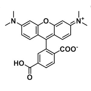 6-羧基四甲基罗丹明,6-TAMRA;6-Carboxytetramethylrhodamine