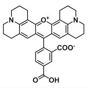 5-羧基-X-罗丹明,5-Carboxy-X-Rhodamine