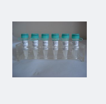 腦鈣粘蛋白12蛋白,CDH12 Protein