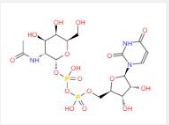 4-乙酰氨基-N-(2'-氨基苯基)-苯甲酰胺,Tacedinaline