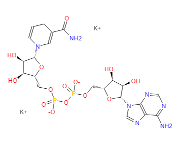 烟酰胺腺嘌呤二核苷酸 还原型,BETA-DPNH DIPOTASSIUM SALT