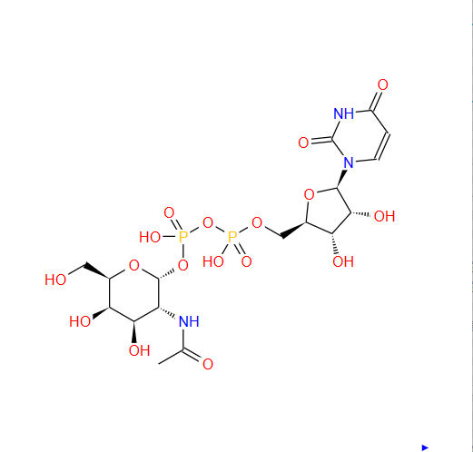 半乳糖二钠盐,UDP-N-acetyl-α-D-galactosamine