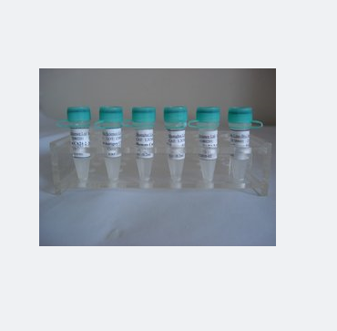 碳水化合物磺基轉(zhuǎn)移酶9蛋白,CHST9 Protein