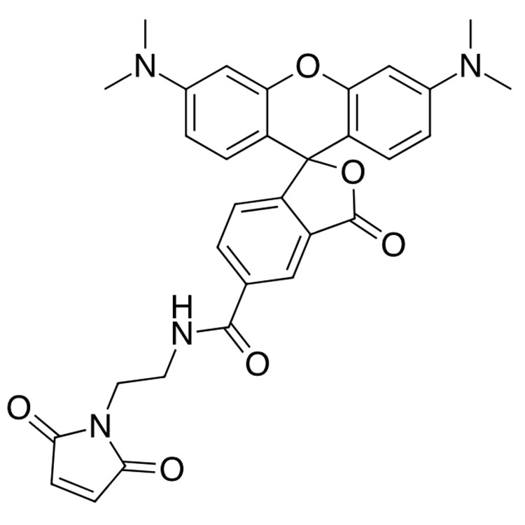 5-四甲基罗丹明马来酰亚胺,5-TAMRA-MAL;TAMRA maleimide,5-isomer