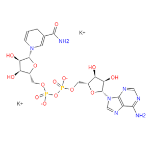 104809-32-7 烟酰胺腺嘌呤二核苷酸 还原型
