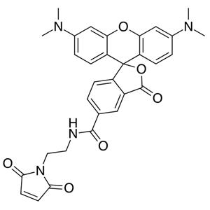 5-四甲基罗丹明马来酰亚胺,5-TAMRA-MAL;TAMRA maleimide,5-isomer