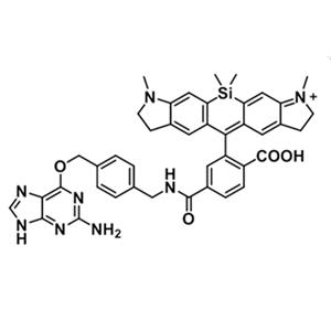 1971086-34-6，硅基罗丹明700-苄基鸟嘌呤，是一种DNA探针