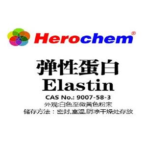 彈性蛋白溶液,Elastin