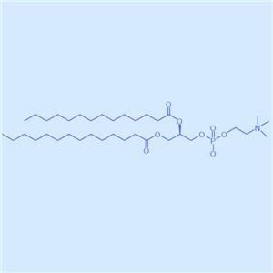 cRGD-PEG5K-TK-NH2,二硬脂酰基磷脂酰乙醇胺-酮缩硫醇-聚乙二醇-氨基