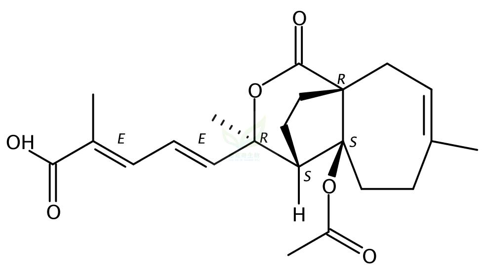 土槿皮甲酸,Pseudolaric acid A