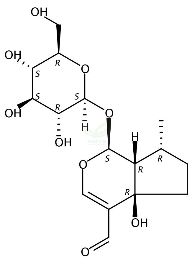 Yuheinoside