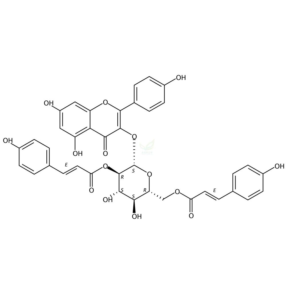 山奈酚-3-O-(2′,6′-二-O-反式-对-香豆酰基)-beta-D-吡喃葡萄糖苷,Kaempferol-3-O-(2′,6′-di-O-trans-p-coumaroyl)-beta-D-glucopyranoside