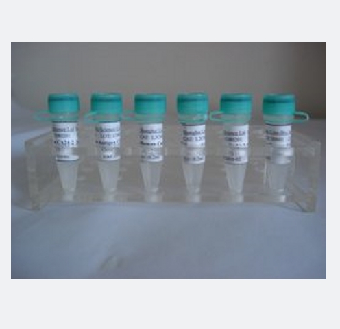 多癌基因下調(diào)蛋白,CQ028 Protein