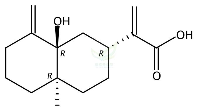 5alpha-羥基木香酸,5alpha-Hydroxycostic acid