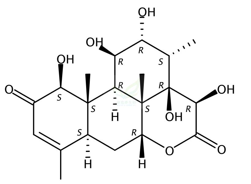 14,15β-dihydroxyklaineanone