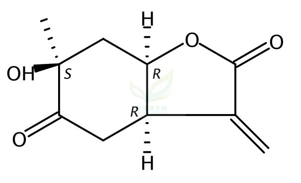 芍药内苷B,Paeonilactone B