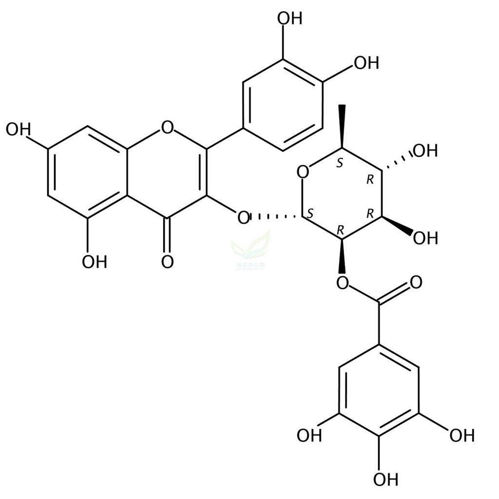 2′′-O-没食子酰基槲皮苷,2′′-O-Galloylquercitrin