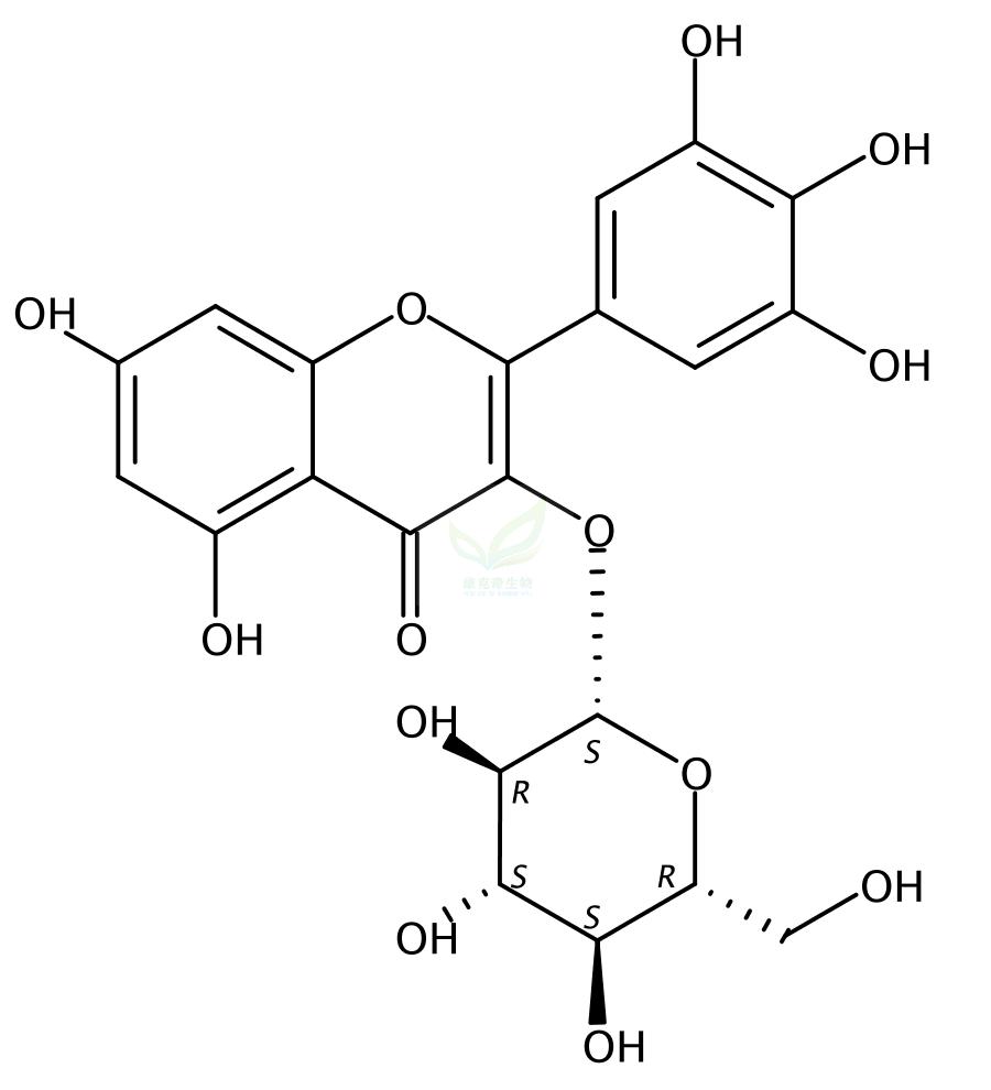 楊梅素-3-O-β-D-葡萄糖苷