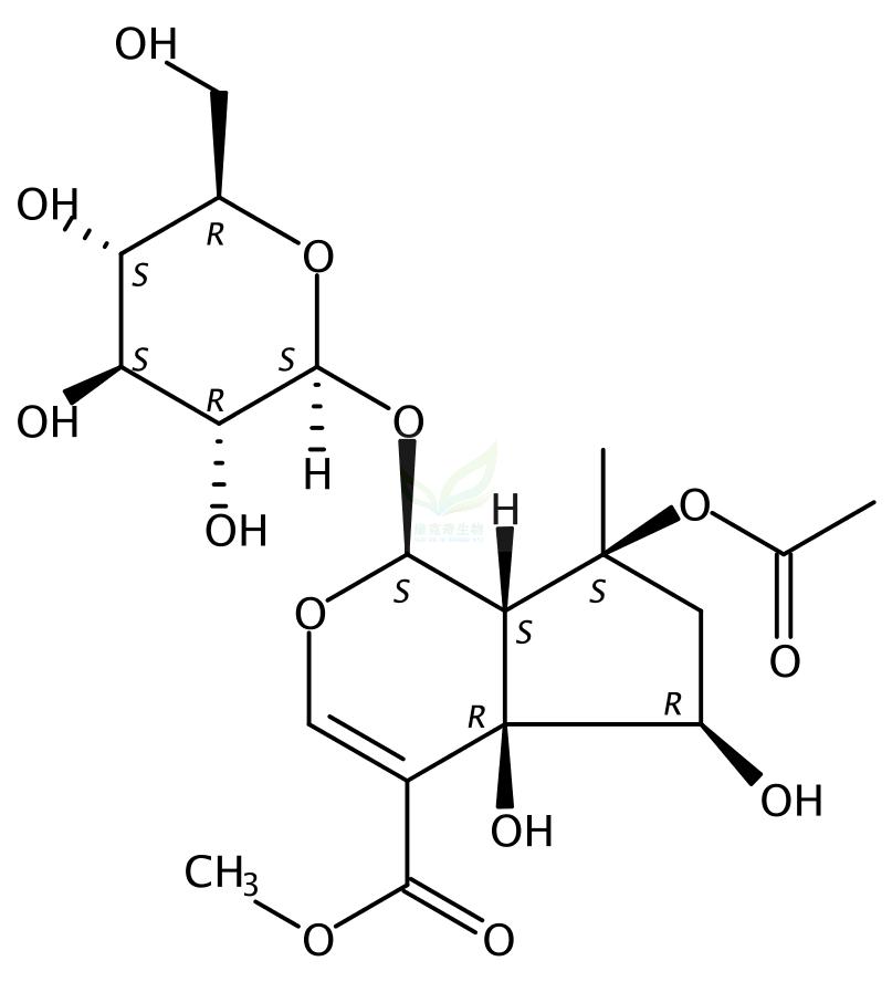 环烯醚萜B,Phlorigidoside B