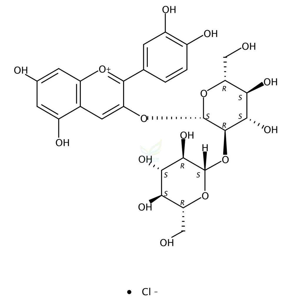 氯化矢車菊素-3-O-槐糖苷,Cyanidin 3-O-sophoroside