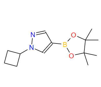 1-环丁基-吡唑-4-频哪醇二硼酸酯,1-Cyclobutyl-4-(4,4,5,5-tetraMethyl-1,3,2-dioxaborolan-2-yl)-1H-pyrazole