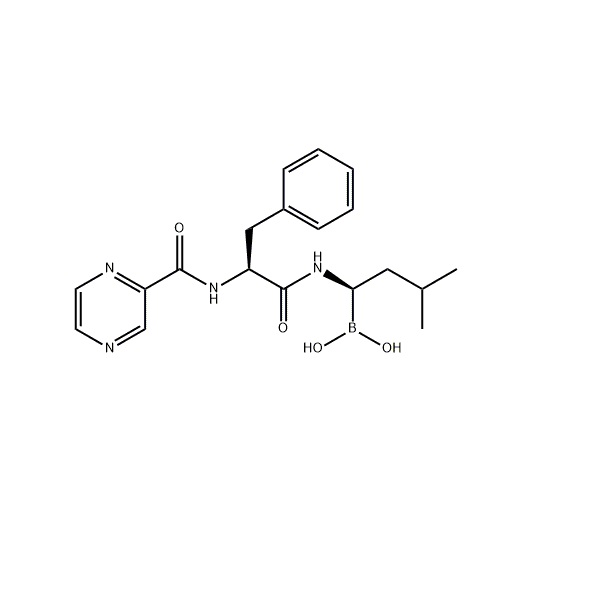 硼替佐米,Bortezomib