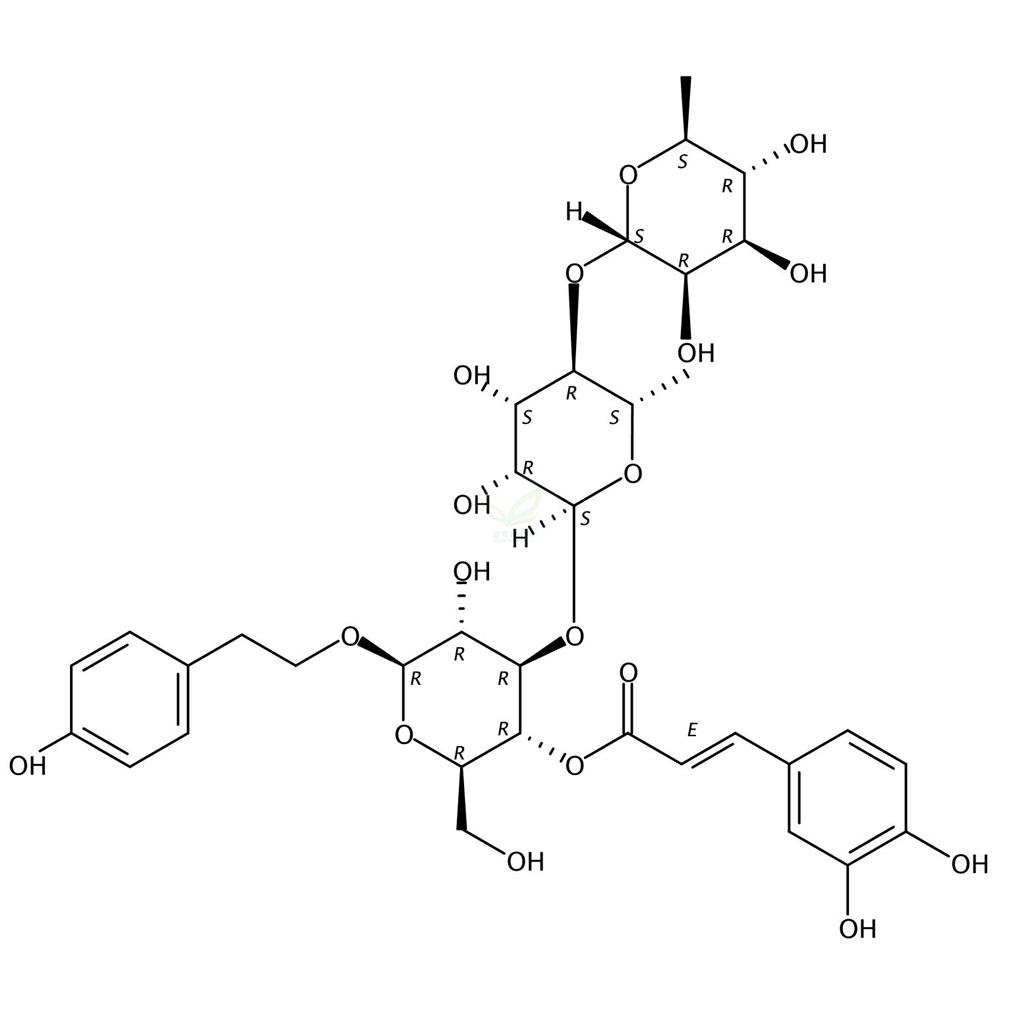 粗壯女貞苷N,Ligurobustoside N