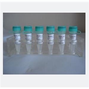 多癌基因下調(diào)蛋白,CQ028 Protein